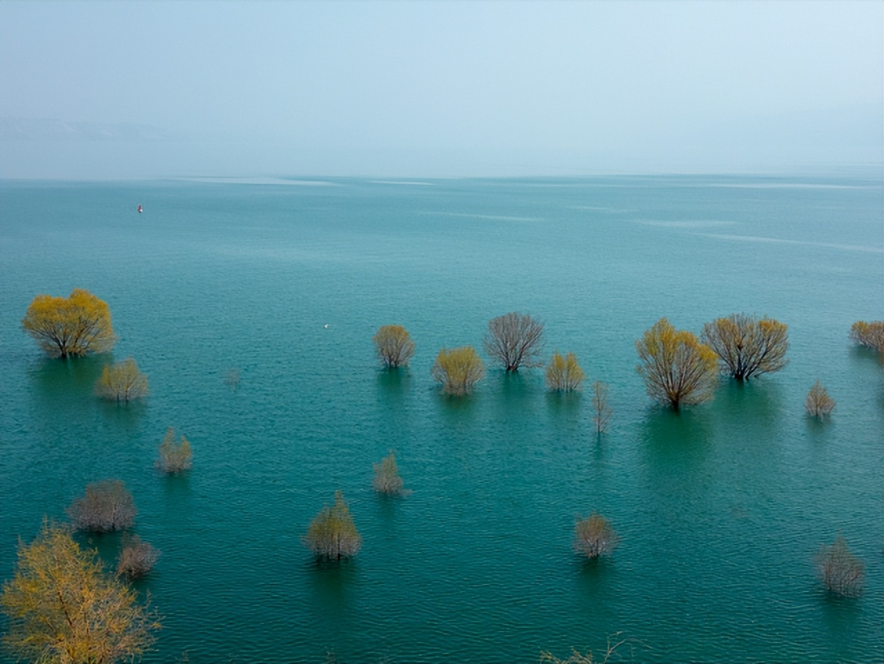 去临夏玩的攻略,临夏旅游线路推荐