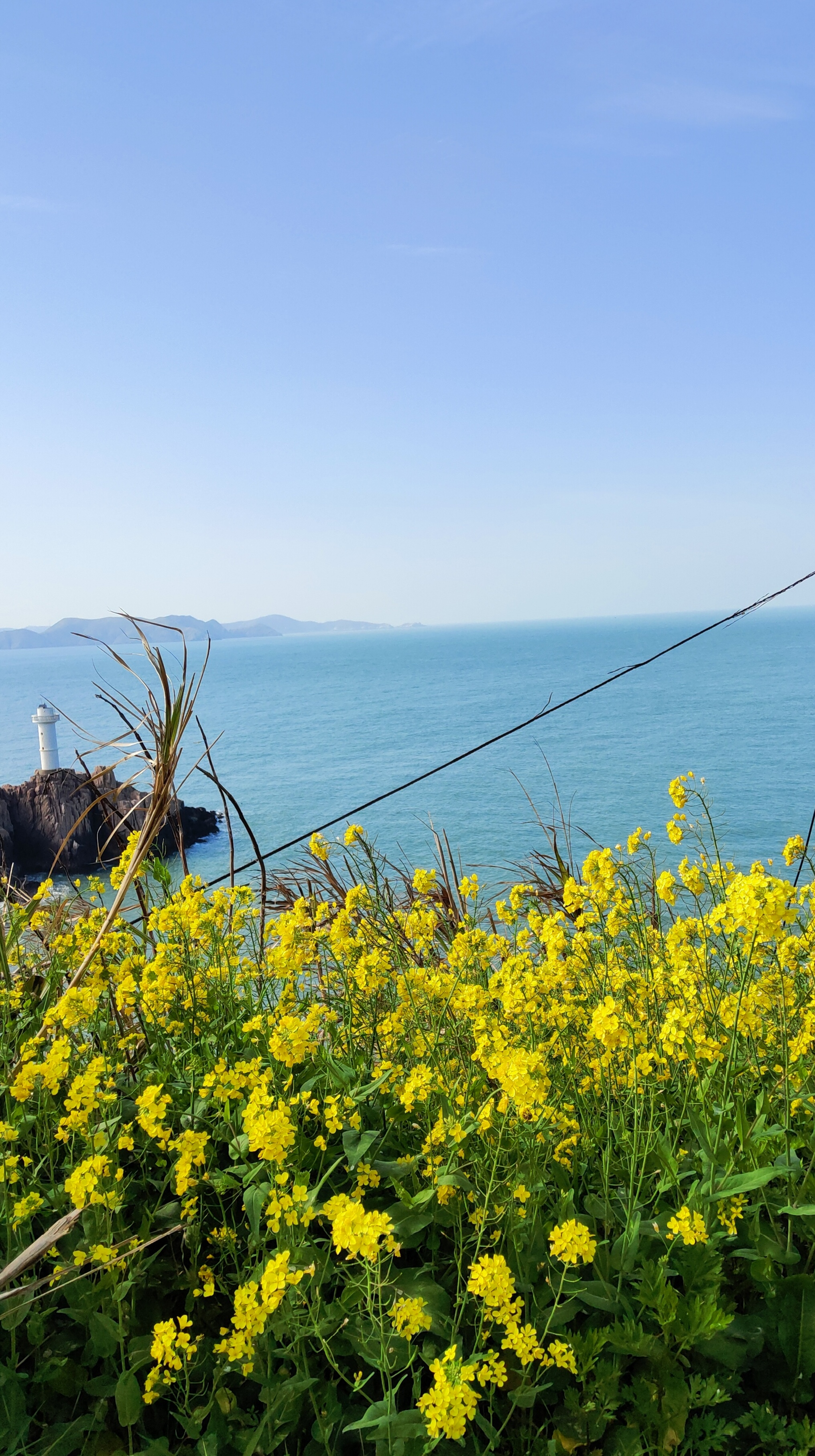 从南昌到东极岛旅游交通攻略,东极岛上如何出行