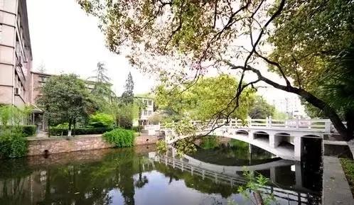 梅花淡淡香——记苏州大学“国培”有感