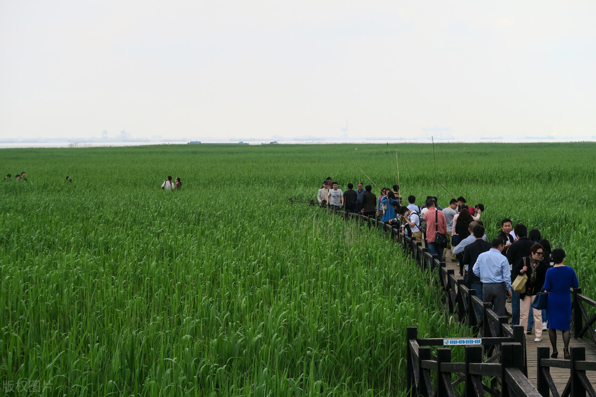上海风景最美的公园,上海最好玩漂亮的七大公园