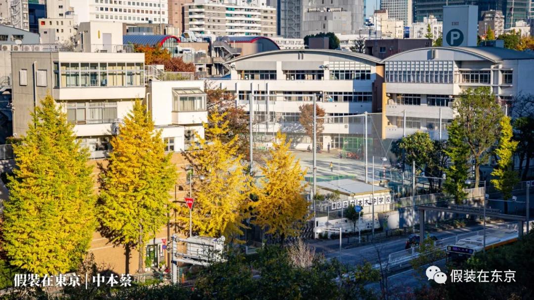 365张照片回顾,365张相片