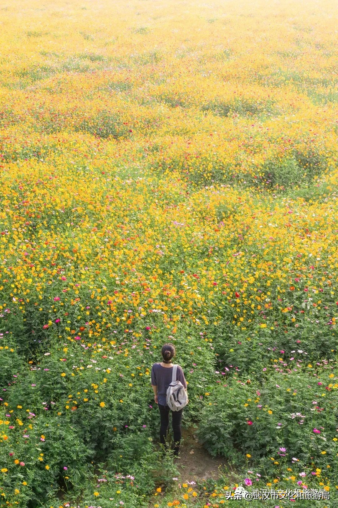 武汉值得玩的地方排名,武汉必吃榜top1