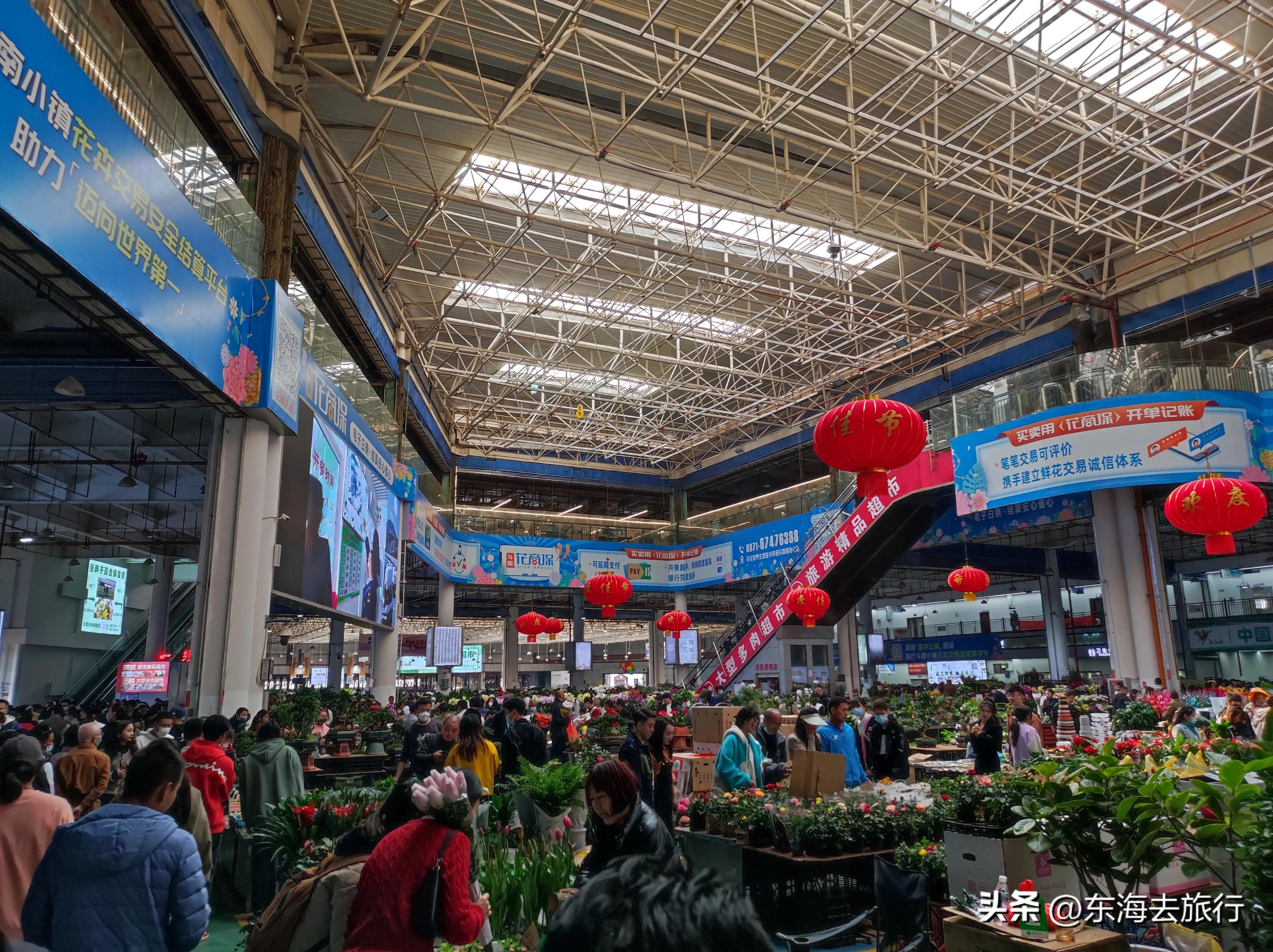 去云南昆明必去景点推荐理由,云南昆明旅游必去的地方推荐