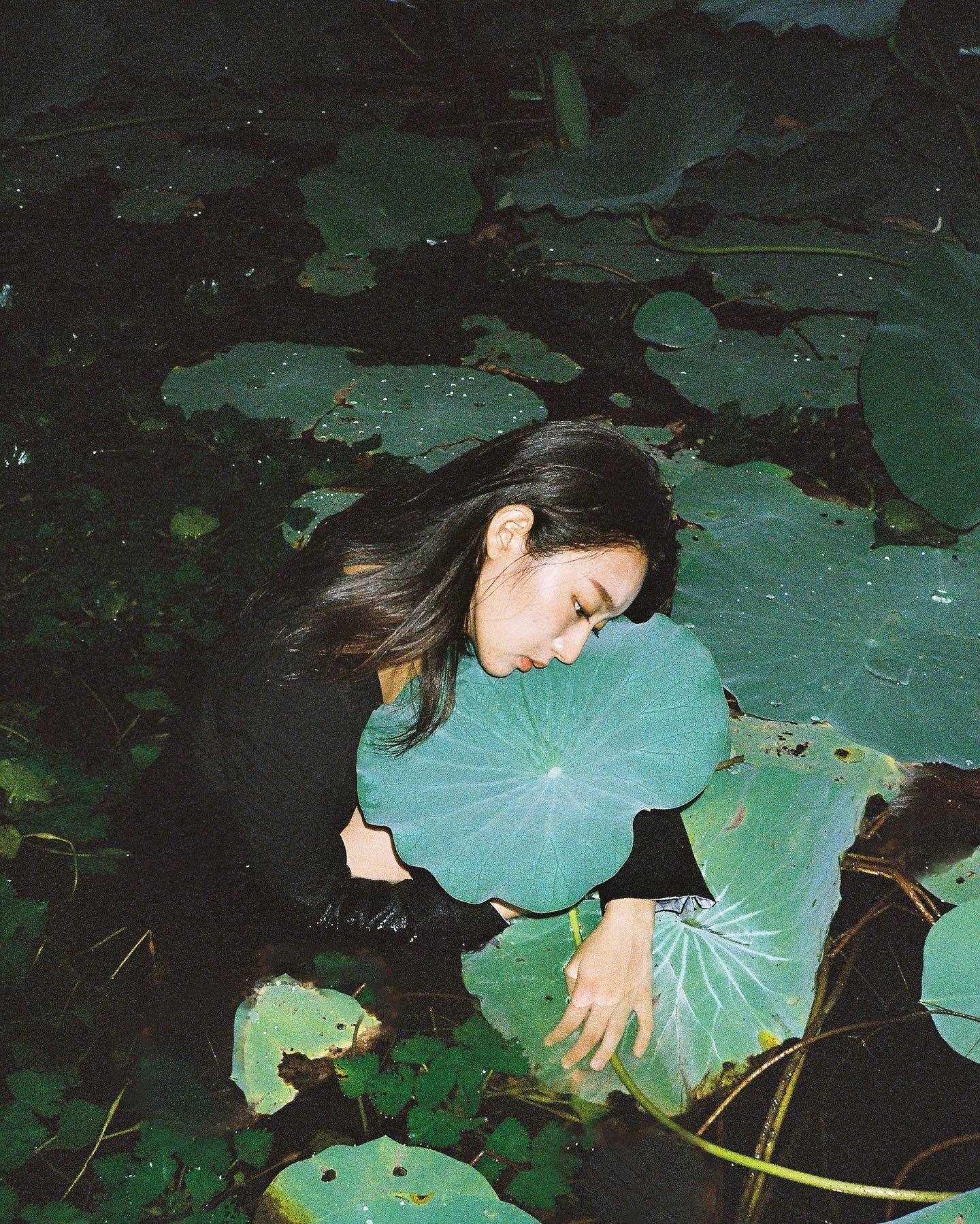 摄影师荷花写真,荷花人像写真修图