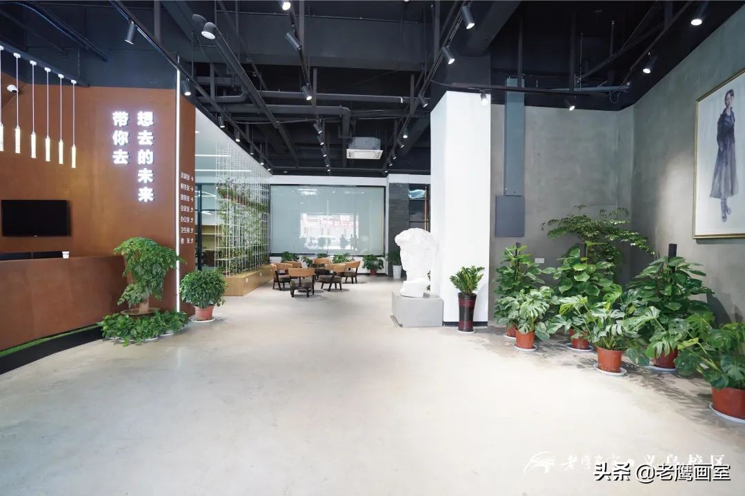 老鹰画室精品班和进阶班,成都老鹰画室和成都艺考画室