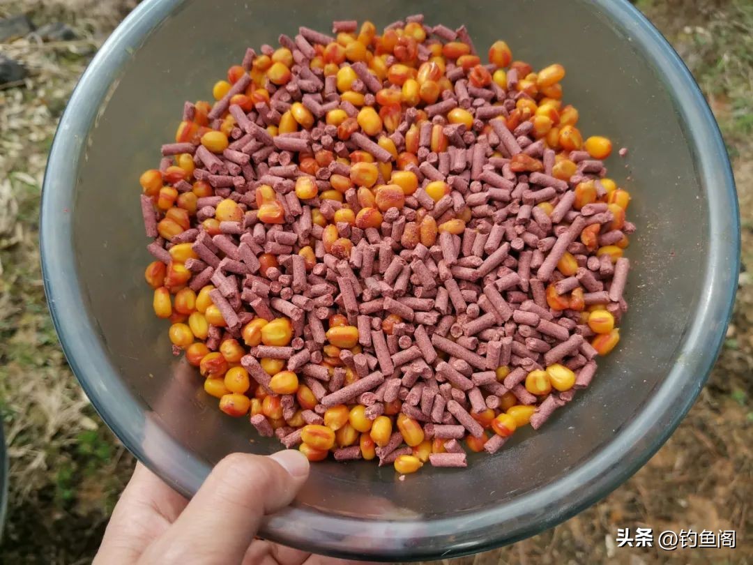 新手怎么能快速钓到鱼,新手怎样才能钓到鱼