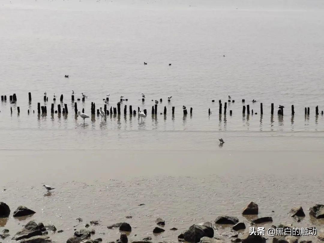 深圳美好创意,深圳创意项目推荐