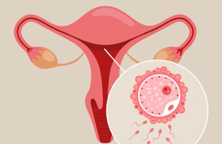 老年女性体内的节育环还用取掉吗,体内节育环几年要取掉