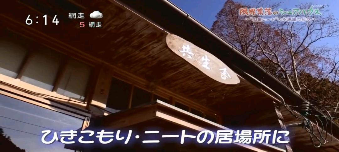 不用交房租还管吃喝？这群年轻男女躲进山村，做了一个“共生舍”