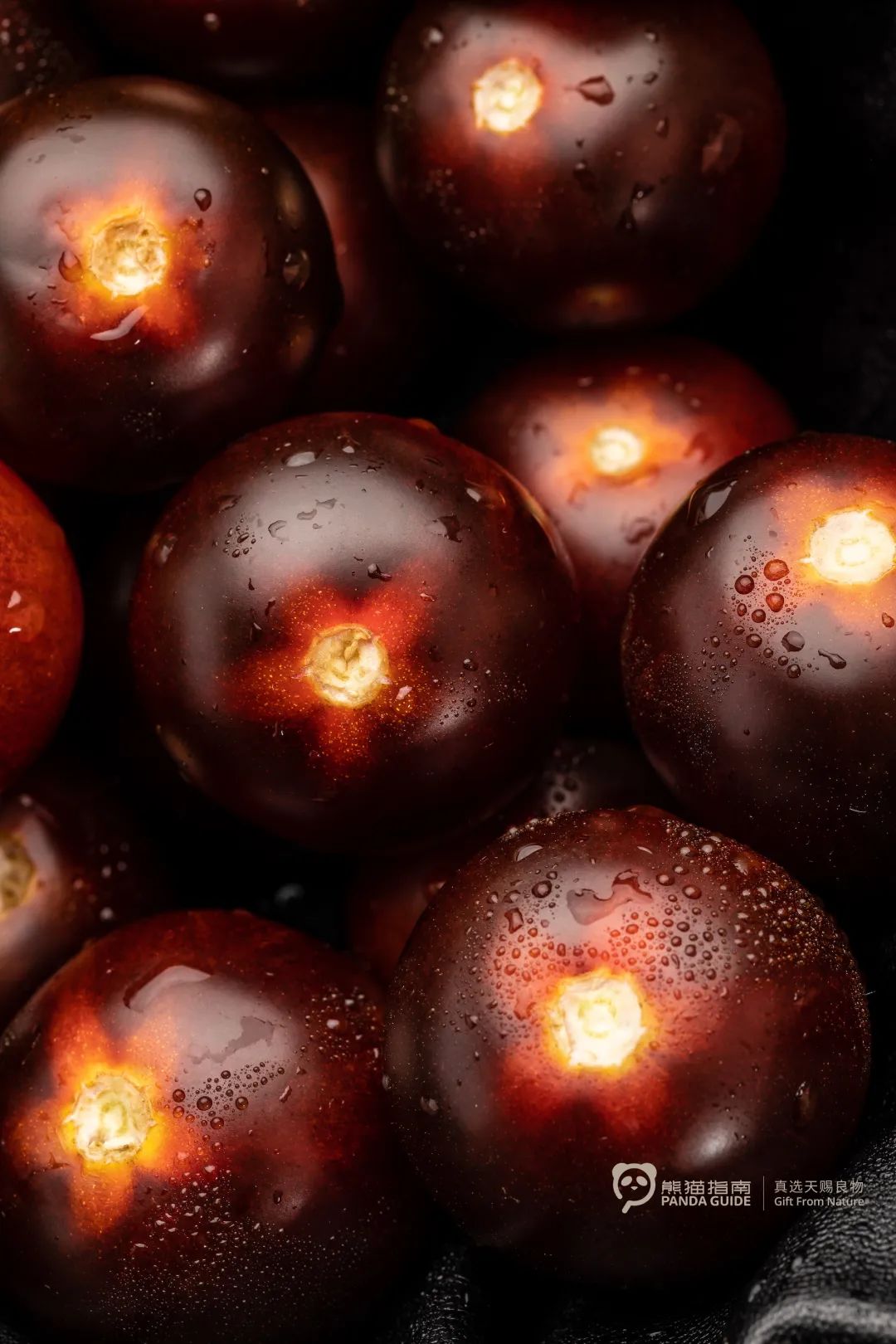 理性观战世界杯,世界杯已备好看球攻略