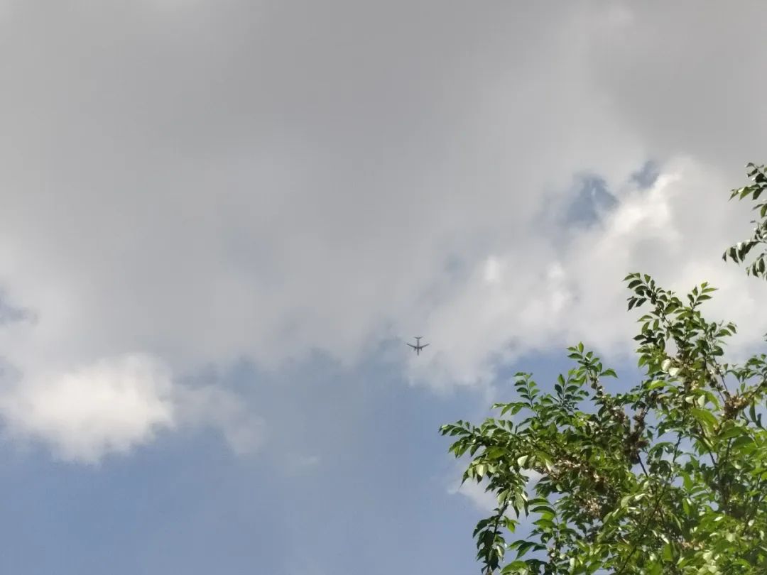 往后余生只想努力挣钱,往后余生多赚钱生活才能过得自在