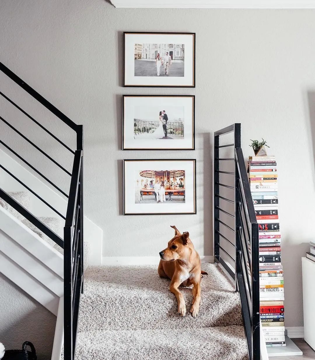 结婚照挂在卧室哪个位置好,结婚照挂在什么地方最合适