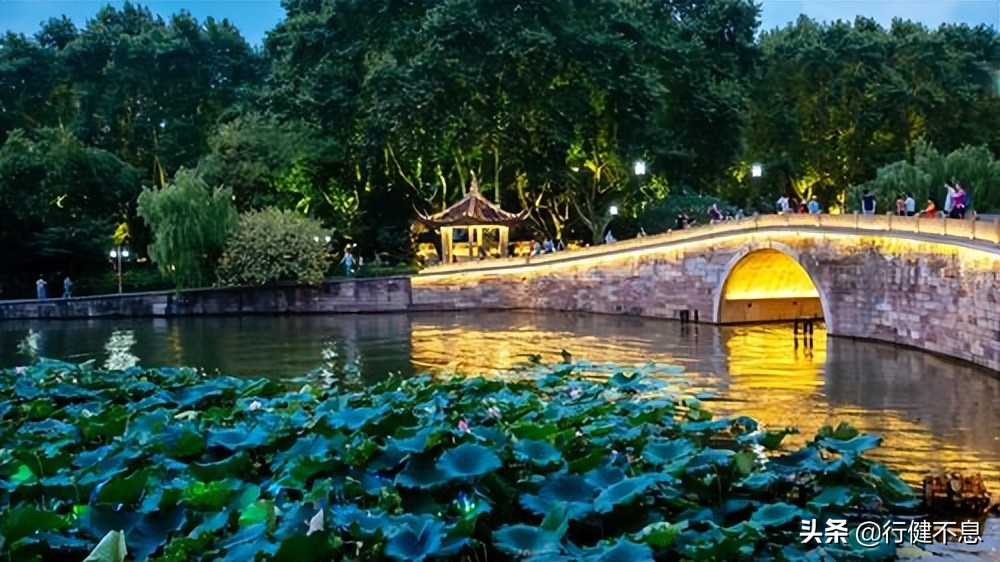 西湖荷花诗句古诗大全,荷花美景的诗句大全