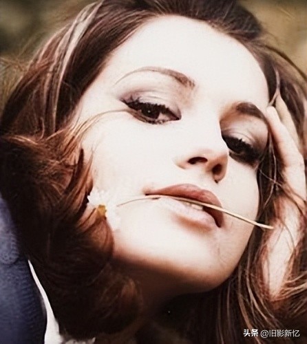 香港黄金时代经典电影粤语版,香港电影抄袭好莱坞