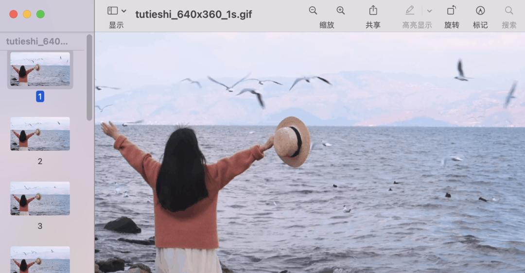 如何制作动图有哪些技巧,动态图的制作原来可以这么简单