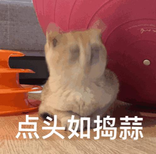 宝宝的嘴巴干的起皮怎么办,宝宝嘴唇干燥起皮用什么唇膏