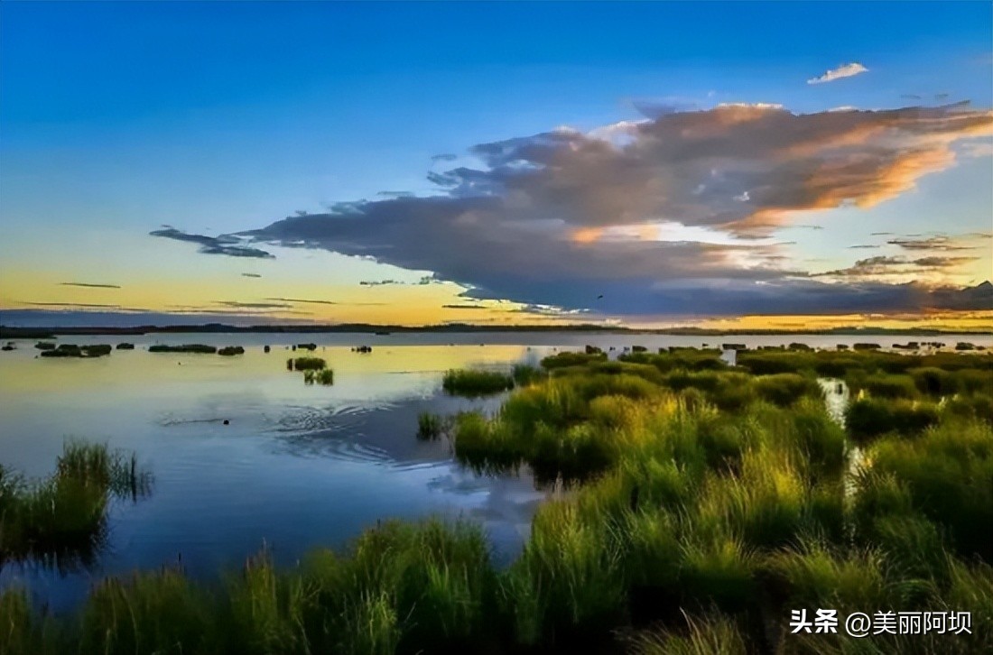 大美湿地美景,大美湿地