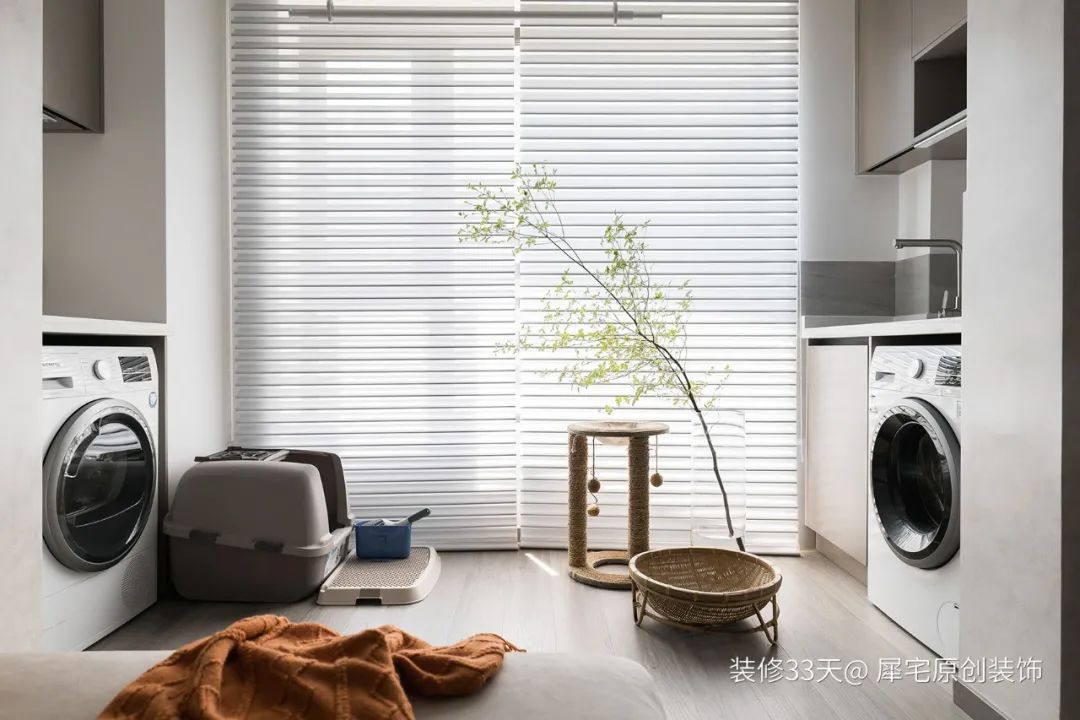 接下去3个月我家它存在感最强