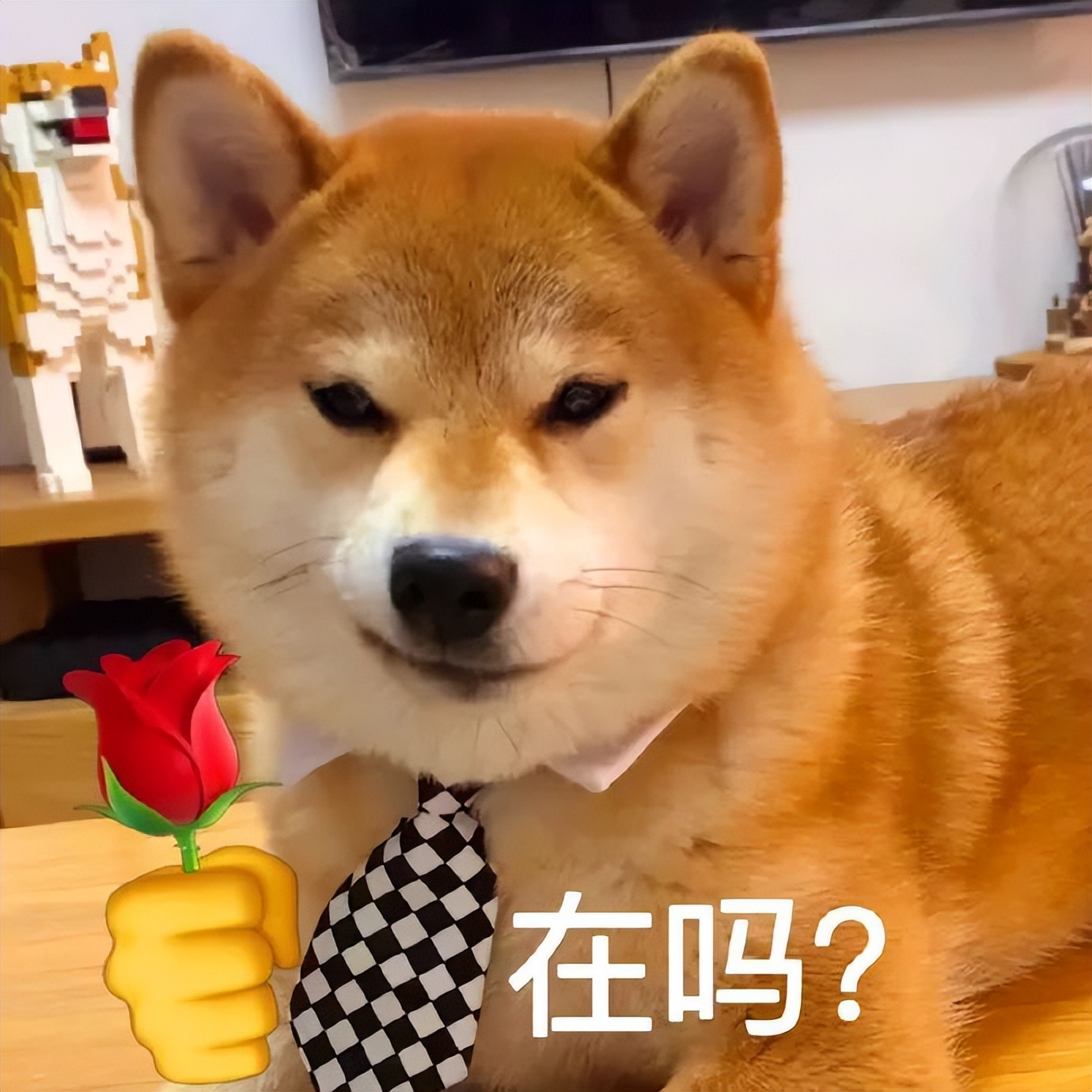 我涉嫌喜欢你表情包,今日任务喜欢你表情包