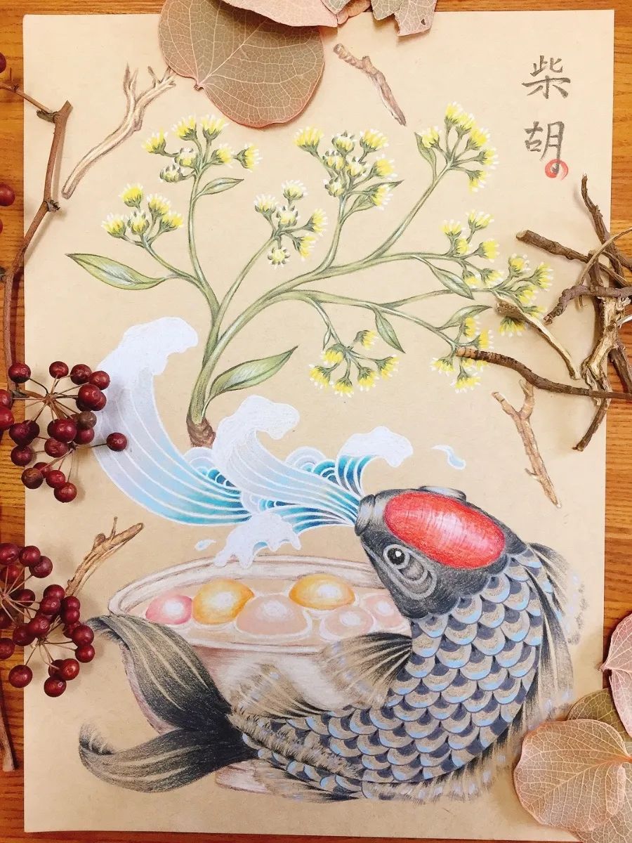 关于中医的插画 (好看的中医药文化插画)