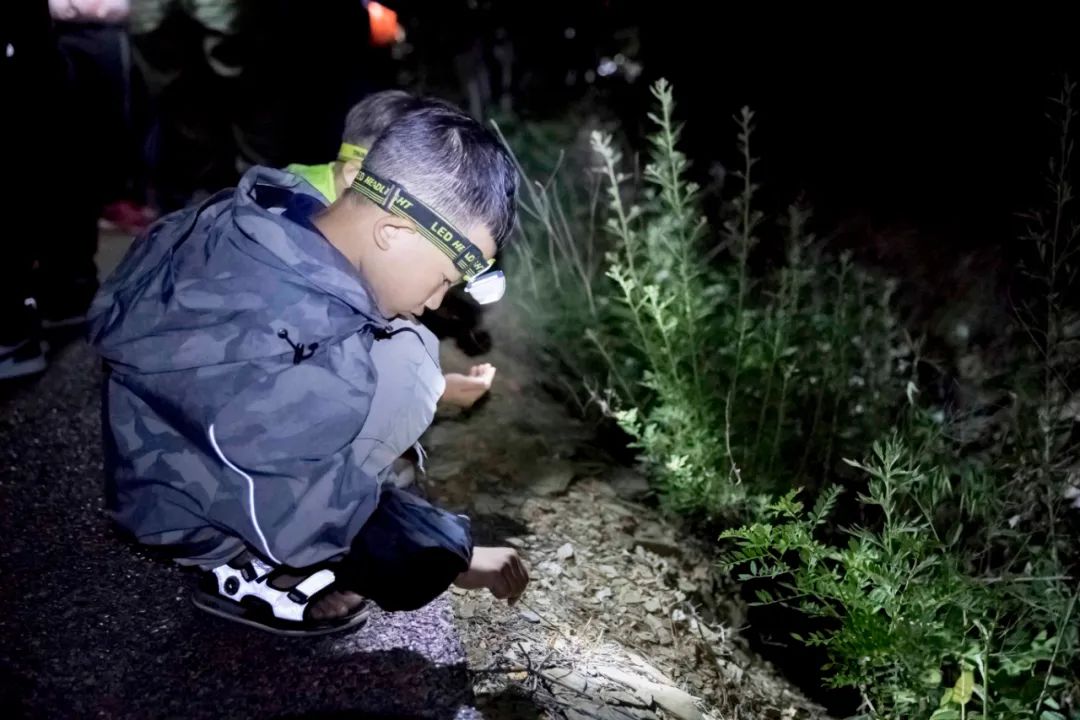 「三寰牧场」45元玩转夜场，多项活动带你开启“星空音乐会”