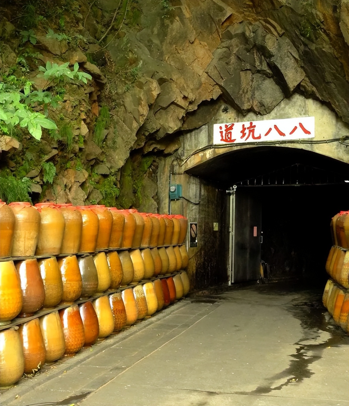 台湾的八大名酒,台湾公认三大名酒的排名