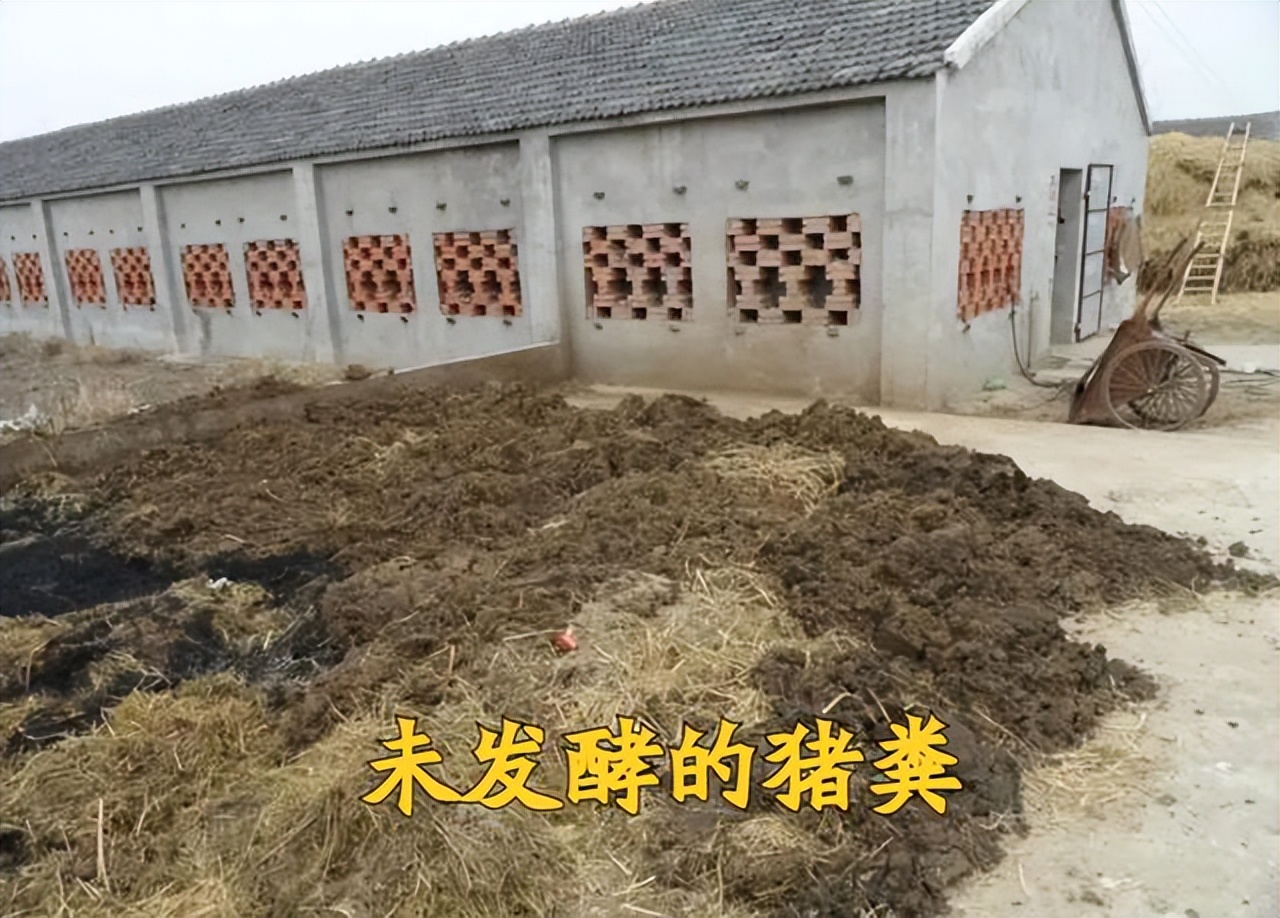 粪是不是氮肥,粪和肥料有什么区别