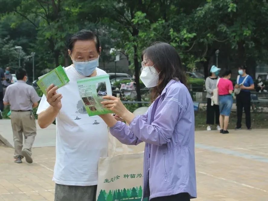 白蛾周氏啮小蜂,美国白蛾天敌是什么蜂