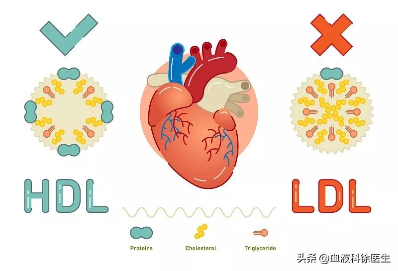 进口他汀太贵能换成便宜的吗,进口的他汀有哪几种