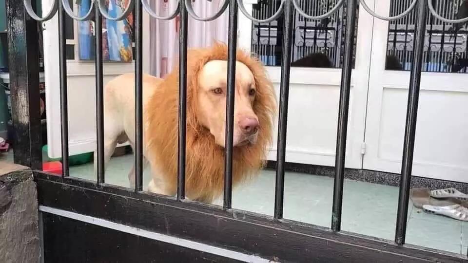 “你有哪些不敢说出口的秘密？哈哈哈太羞耻了…”