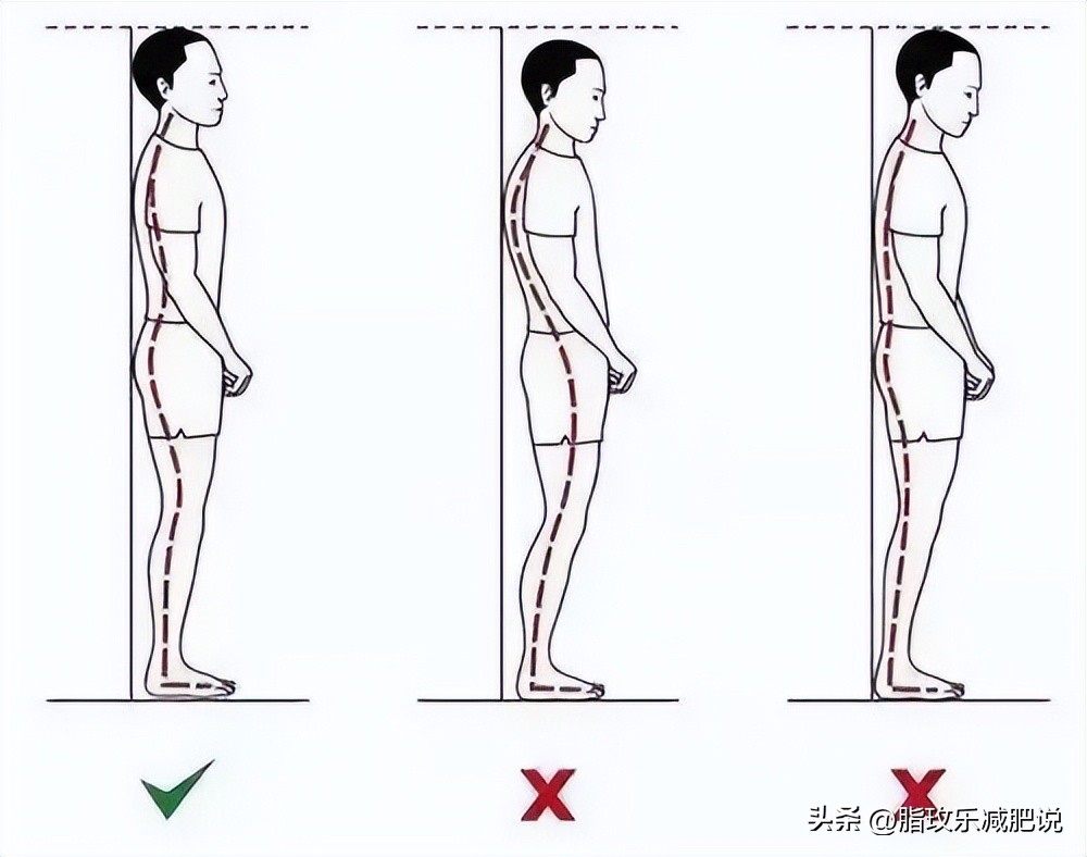 女生肚子大该怎么减肥？六个方法让你瘦出小蛮腰