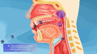 佛手是佛手柑还是佛手瓜,佛手柑是佛手瓜吗在哪里能买到