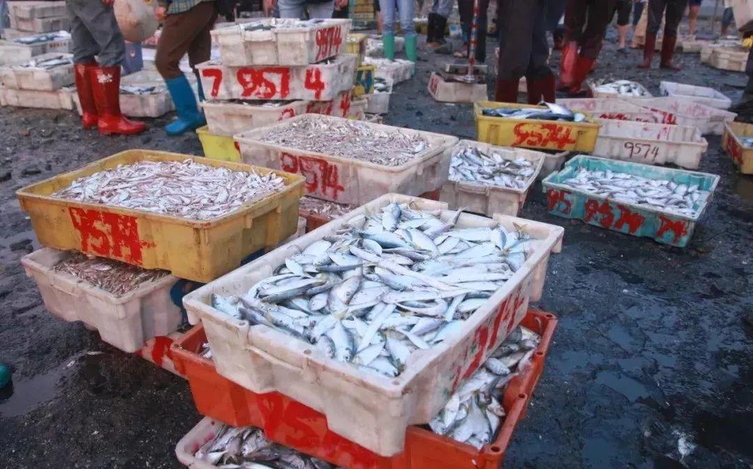 这50张照片就是努力的理由,一张图说明你去过防城港