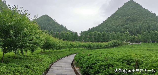 欠债的日子你是如何熬过来的,欠债的人生如何度过