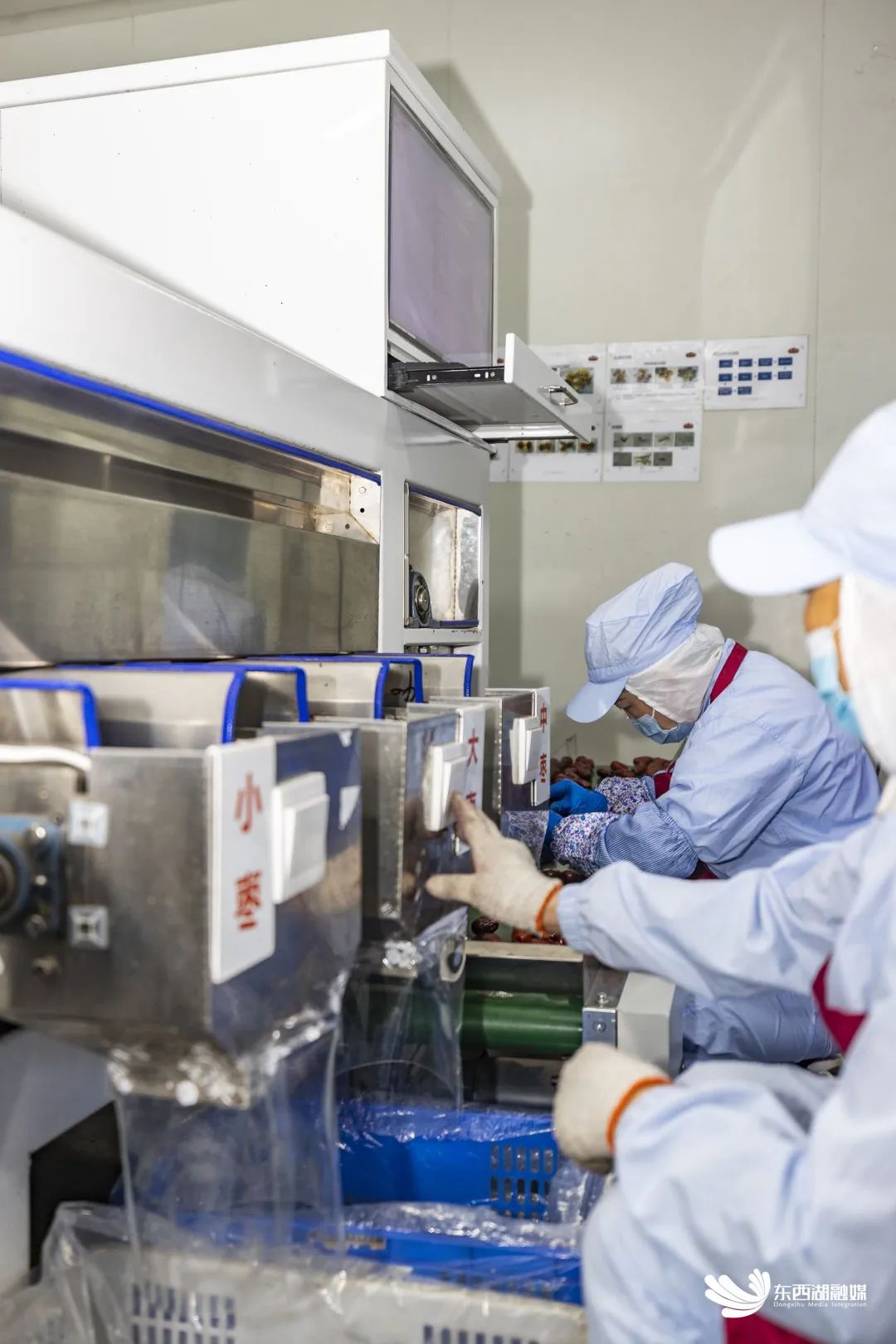 东西湖这家公司产的____，你肯定吃过！