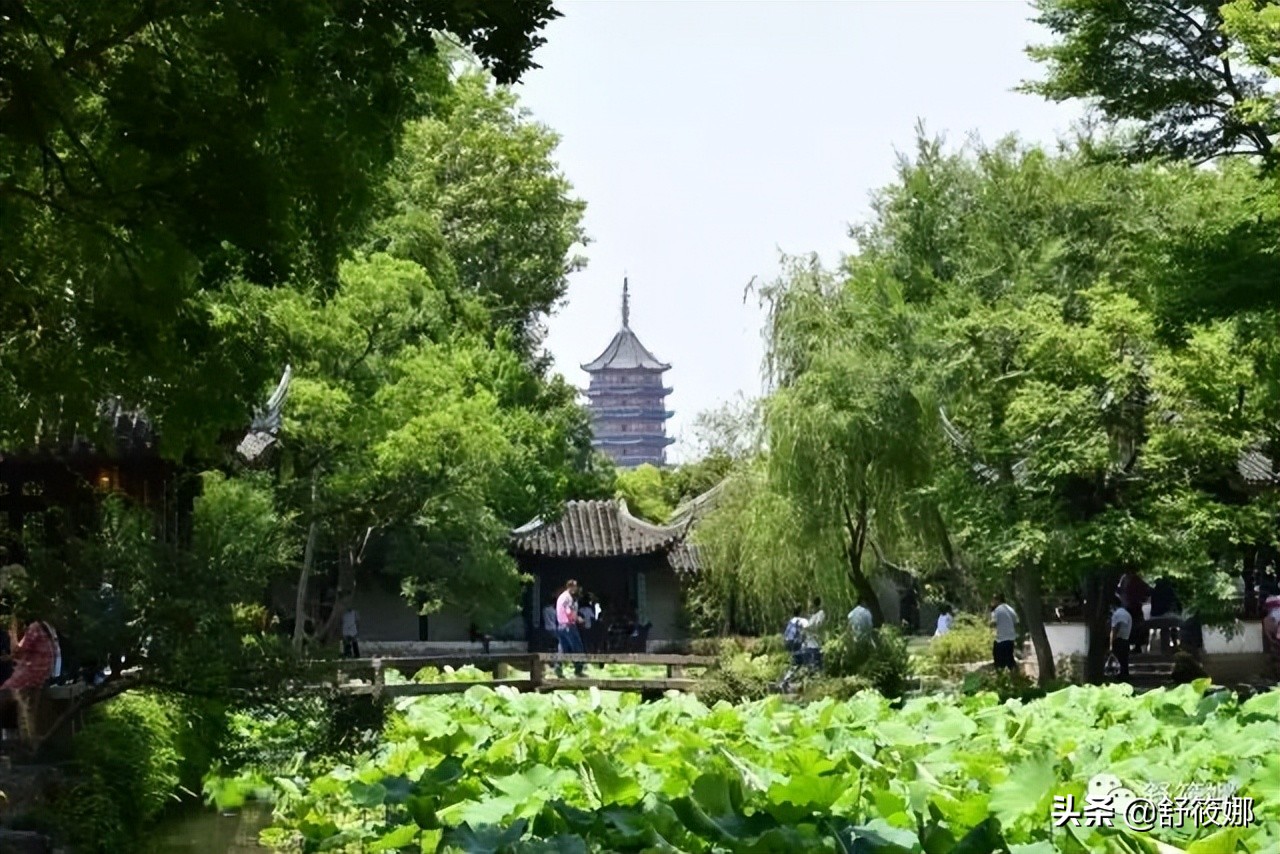 苏州园林拙政园地址,苏州园林路拙政园