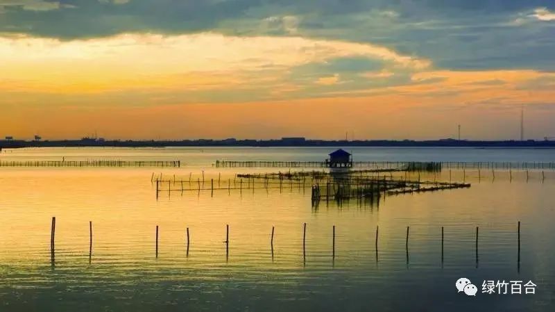 阳澄湖大闸蟹蒸多久,阳澄湖大闸蟹