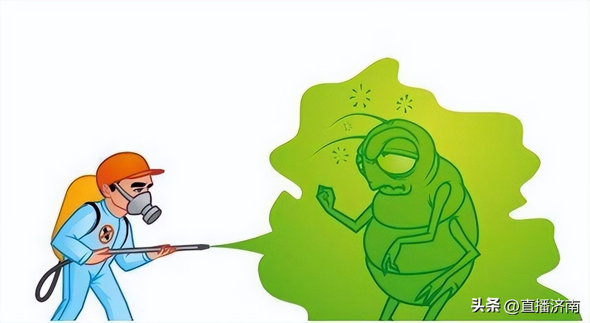 蟑螂最怕一招教你彻底消灭蟑螂,不知道蟑螂在哪里如何消灭