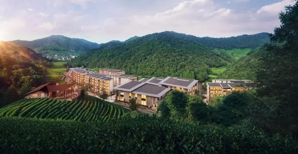 为什么有钱人都住高端养老社区,青年人入住养老院的养老模式趋势