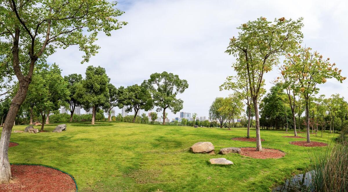 合肥最美公园在哪个区,合肥有哪些公园值得一去