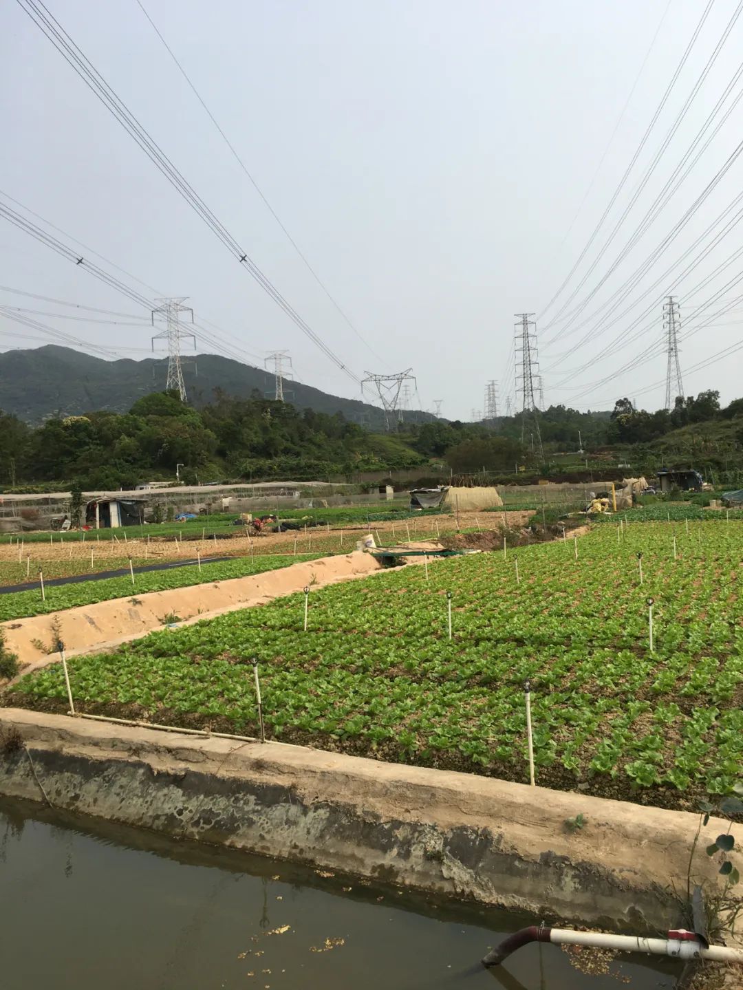 旭光车行雅迪电动车,旭光单车