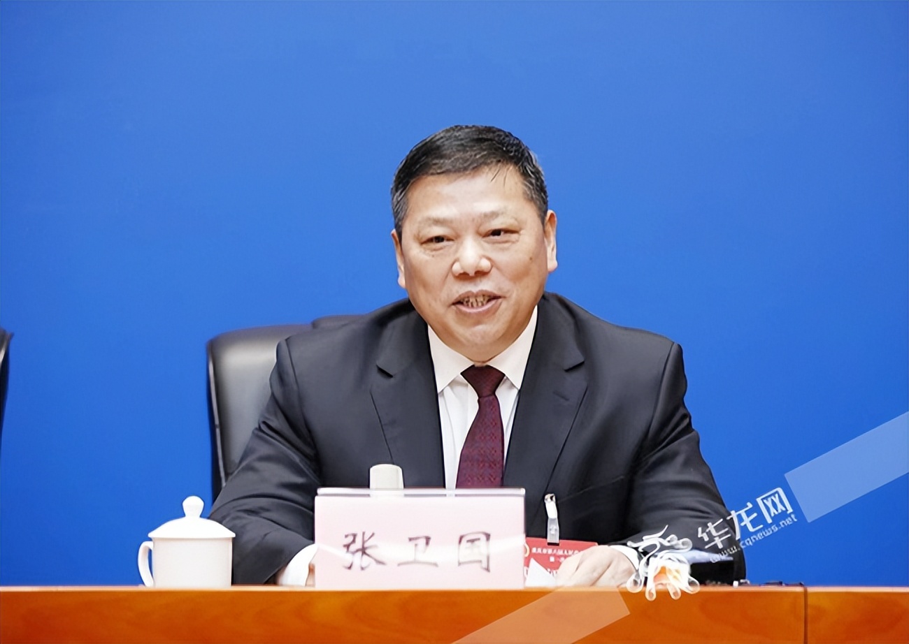 评论代表建议更好助力新重庆建设,重庆两会发展规划