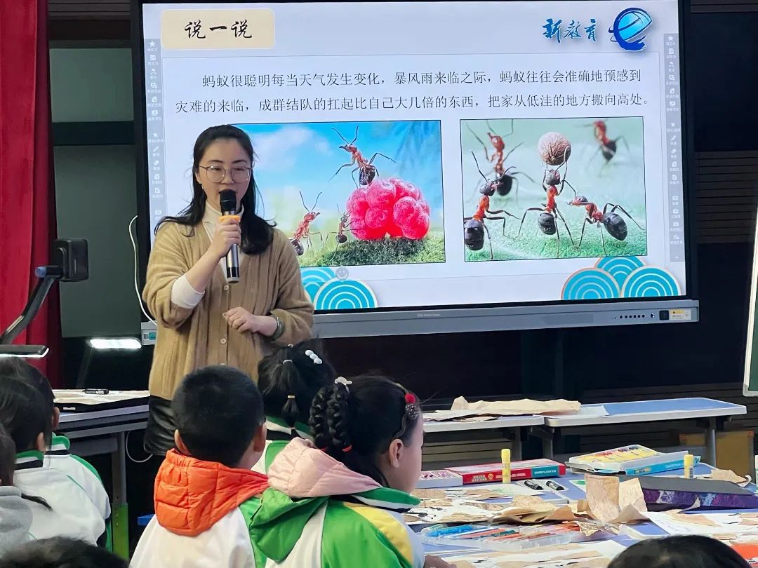 海门育才小学和新教育小学如何,海门育才小学和能仁小学哪个好