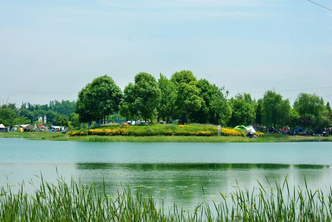 成都周边一日游露营烧烤好去处,成都周边春天适合野炊露营的地方