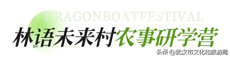 端午江夏旅游攻略,端午节江夏哪儿玩