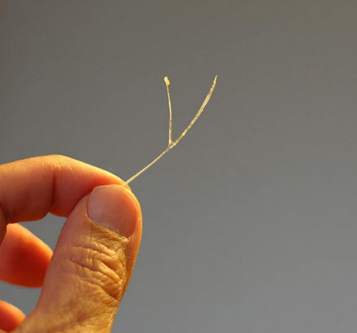 小孩被鱼刺卡了怎么处理,小孩子被鱼刺卡了怎么办