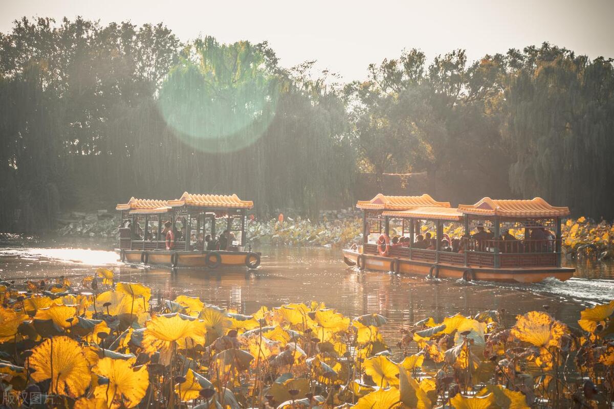 北京在哪可以观赏牡丹,北京赏牡丹的公园有哪些