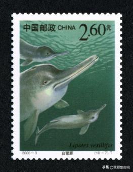 十大濒危动物国际珍惜动物保护日,世界动物日科普视频