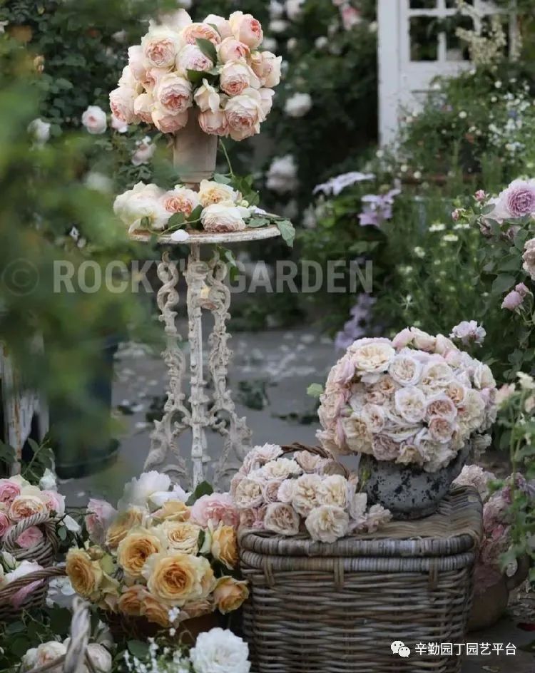 第八届园丁奖露台组《030号》洛基花园