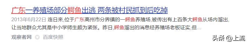 再“鳄”贯满盈的鳄鱼,也逃不出广东人的砂锅煲
